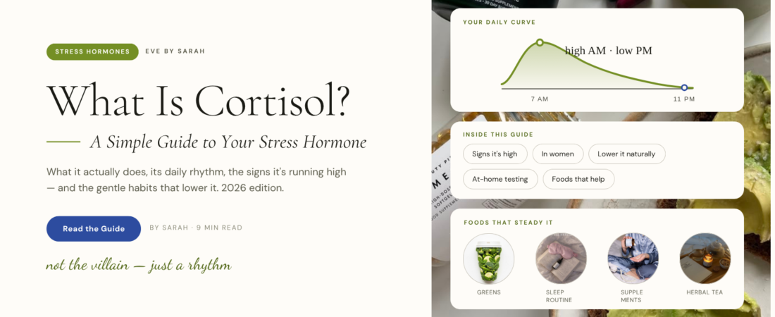 What Is Cortisol? A Simple Guide to Your Stress Hormone (2026)